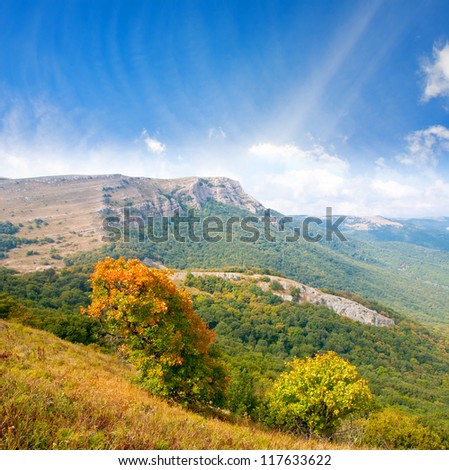 Nice autumn landscape in mountains