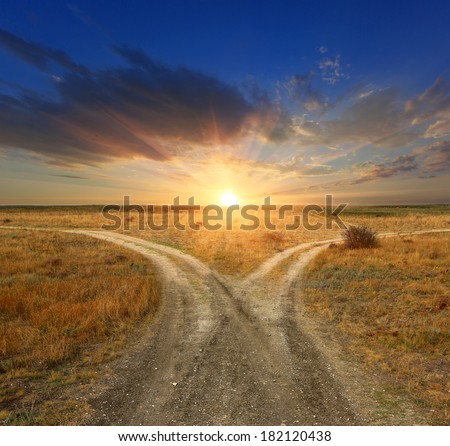 Fork roads in steppe on sunset background