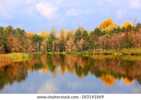 Nice autumn scene on lake