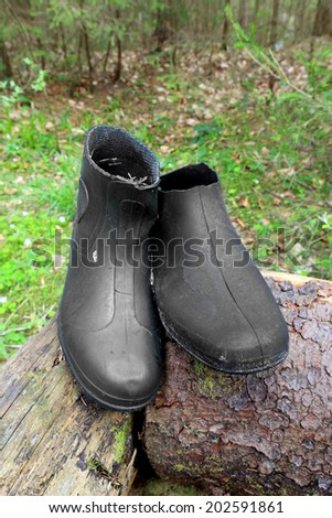 old lost gum boots on wooden log in forest