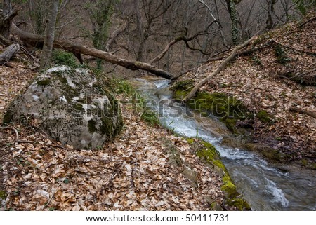Mountain stream in forest