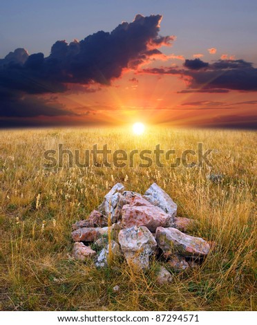 bourock in grass on sunset background