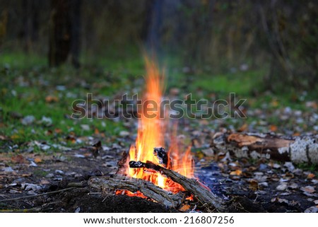 Camp fire in autumn forest