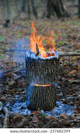 Camp fire in oak forest