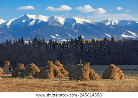 haystack\'s on meadow on Tatra Mountains background in Slovakia