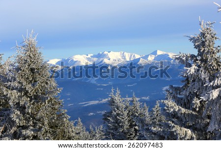 Nice winter scene in Tatra Mountains