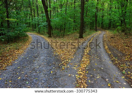Landscape with fork rural roads in forest