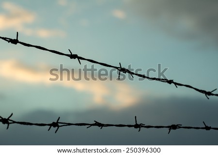 Old rusted barbed wires close silhouette on a sunset with blurred clouds and sky in the background