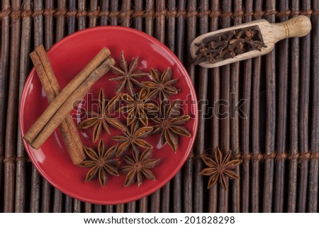 Cinnamon sticks with star shape anis on red plate and wood background
