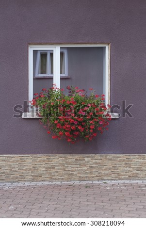 Red Flowers on purple house window