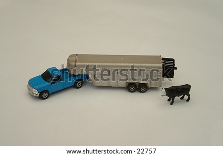 Truck and trailer with cow, isolated on white