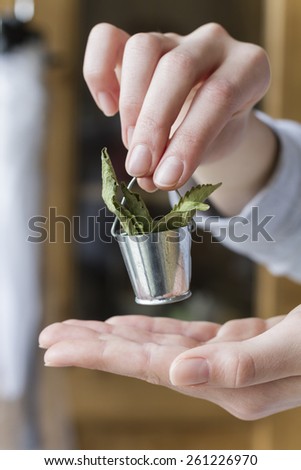 Hands holding small bucket with dry stevia leaves