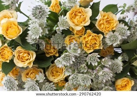 A bouquet of tender yellow tea roses on a white background