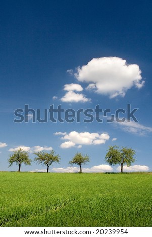 Blue Sky and Green Land
