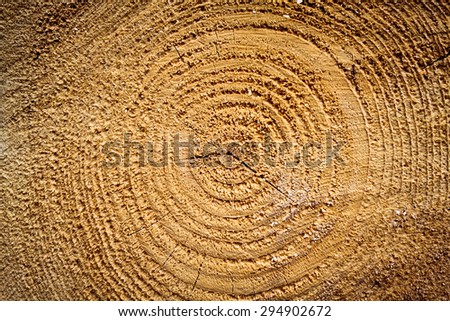 Cut the tree ring texture