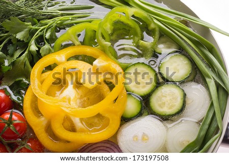plate with fresh vegetables (tomatoes, cucumbers, peppers, onions, cucumbers, parsley)