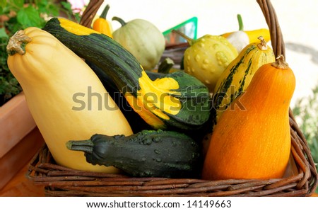 Mini pumpkins basket