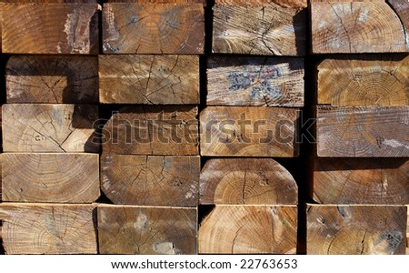 Macro photo of wood timber pile