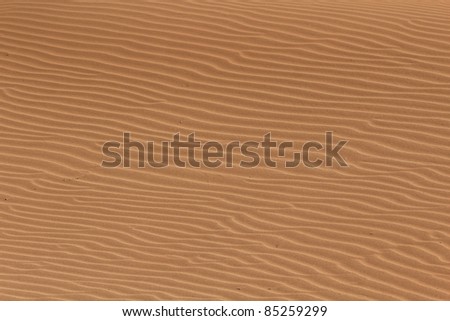 Soil detail, in the Sossusvlei sand dunes, Namib desert. Namibia