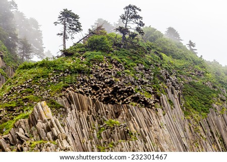 Pillar cape rock top, Kunashir island, Russia