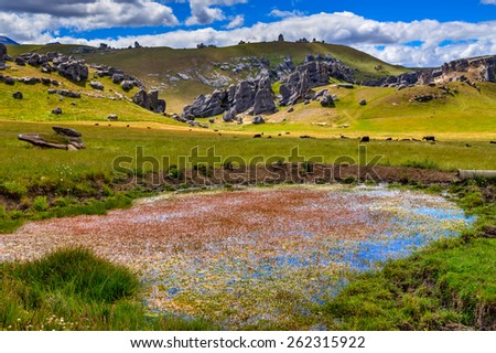 Pool on the meadow in the Castle Rock area in South Alps, South island of New Zealand