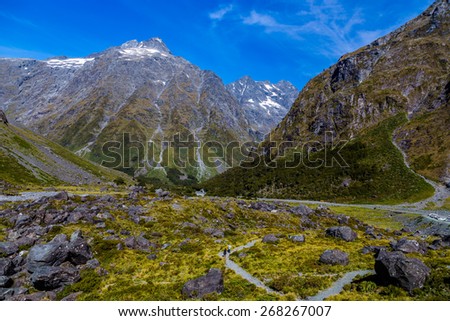 South Alps vallet in Fiordlands national park, South island of New Zealand