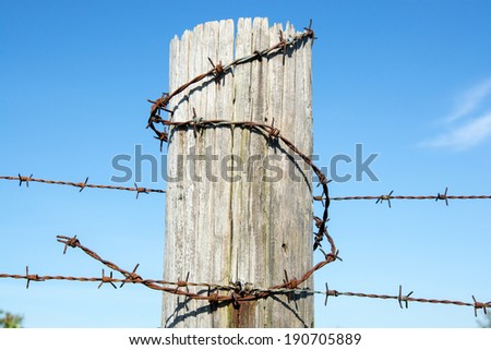 Barbed wire around a wooden fence post.