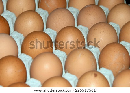 Some natural brown eggs. Natural food plenty of proteins
