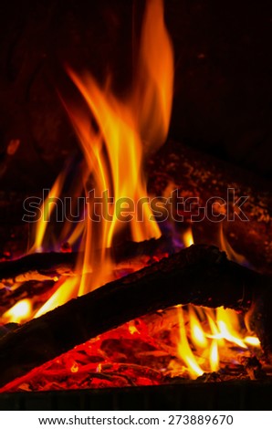Burning wood and flames in a fireplace. Hot concept