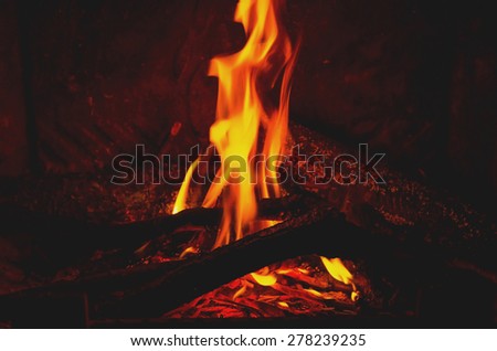 burning wood, fire and flames in the fireplace