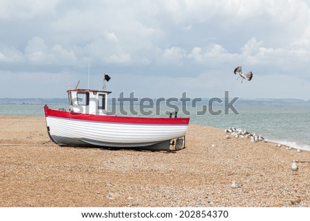 New fishing boat seen ashore