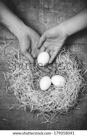 Black and white photo of man and woman putting egg in the nest with other eggs