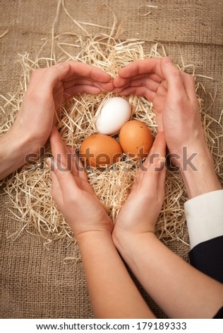 Closeup shot of men and women hands protecting nest and forming shape of heart