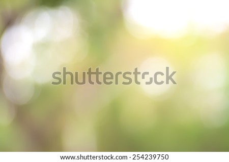 Abstract blurry natural green background with bright round bokeh