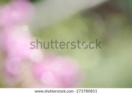 Abstract blurry natural green park with pink flower background
