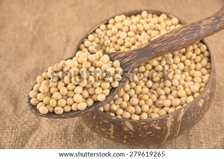 Spoonful of yellow bean on a bowl filled with full size yellow beans over agriculture sack background