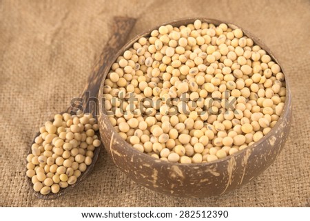 Spoonful of yellow bean and a bowl filled with full size yellow beans over agriculture sack background