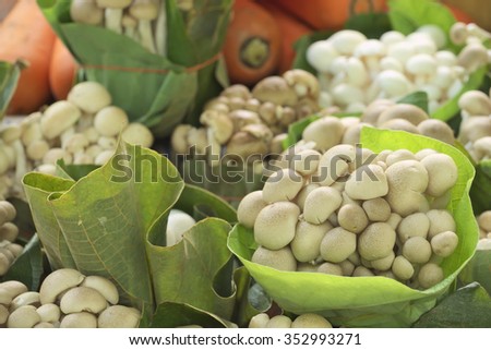 White and brown Beech mushroom wrapped by green leaves in rustic farmer market
