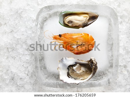 oyster and shrimp redy to serve on an ice block