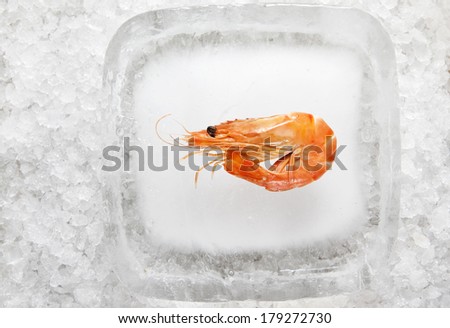 Shrimp ready to serve on an ice block