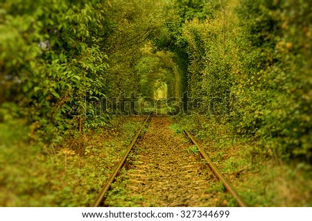 The tunnel of love, Romania. A natural tunnel formed by trees along a rail train in Transylvania. Picture taken in september, year 2015.