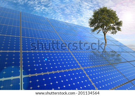 solar energy, nature loves it
