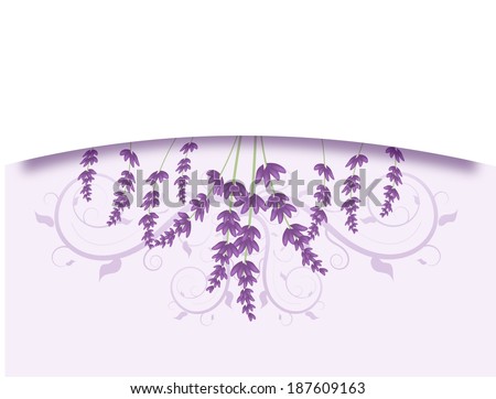 White background decorated with lavender and ornaments