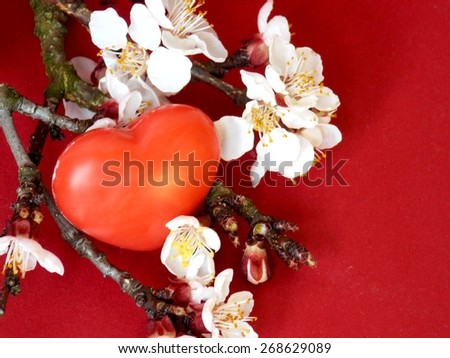 Small red heart hidden in blossom tree