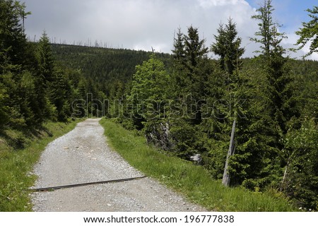 asphalt road in mountain forests, Natural Protected Area Jeseniky, Czech republic