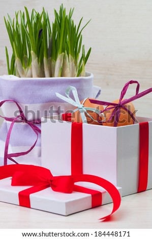 A gift box with two eggs and a spring plant pot