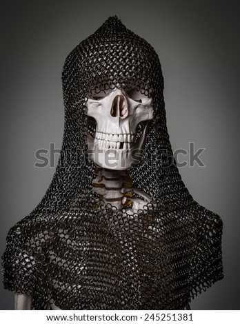 Skeleton of the dead warrior in chain armour