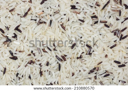 close up shot of the rice blend background (edit white balance and exposure)