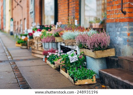 Lot of flowers in the wooden boxes at the street near flower shop in Copenhagen with people in defocused background