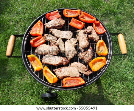 stock photo : Grilling meat and vegetables on green lawn